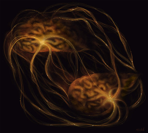 "Hjernestorm | Brainstorm"